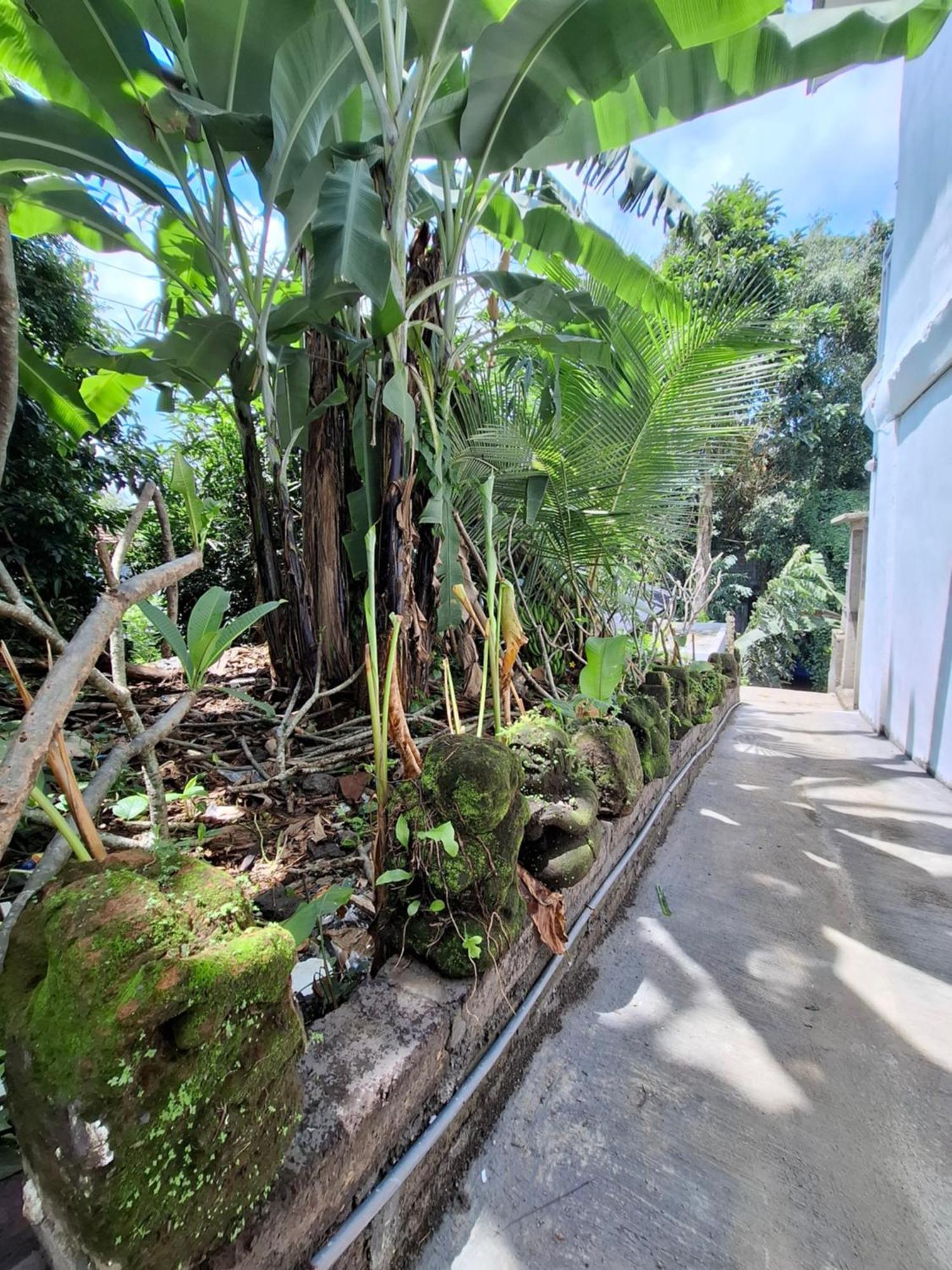 Gasthuis Palm House Ubud